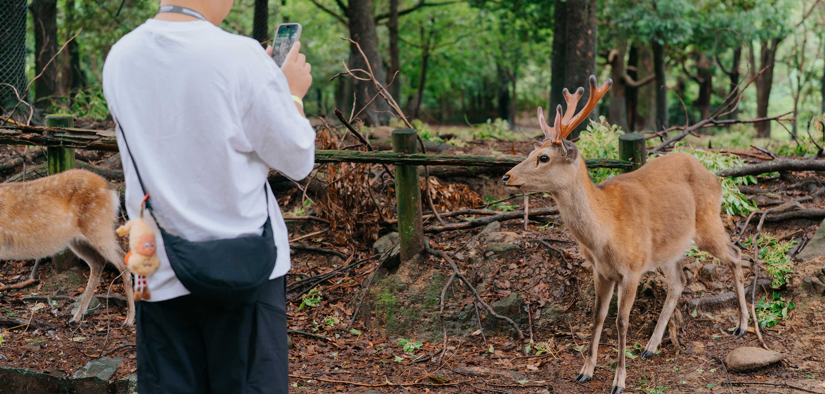 Kanpai to Excellence: Bringing Marriott's 2025 APEC Top Performer Celebration to Life in Nara